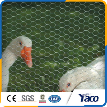 Chicken coop designs, Hexagonal wire mesh